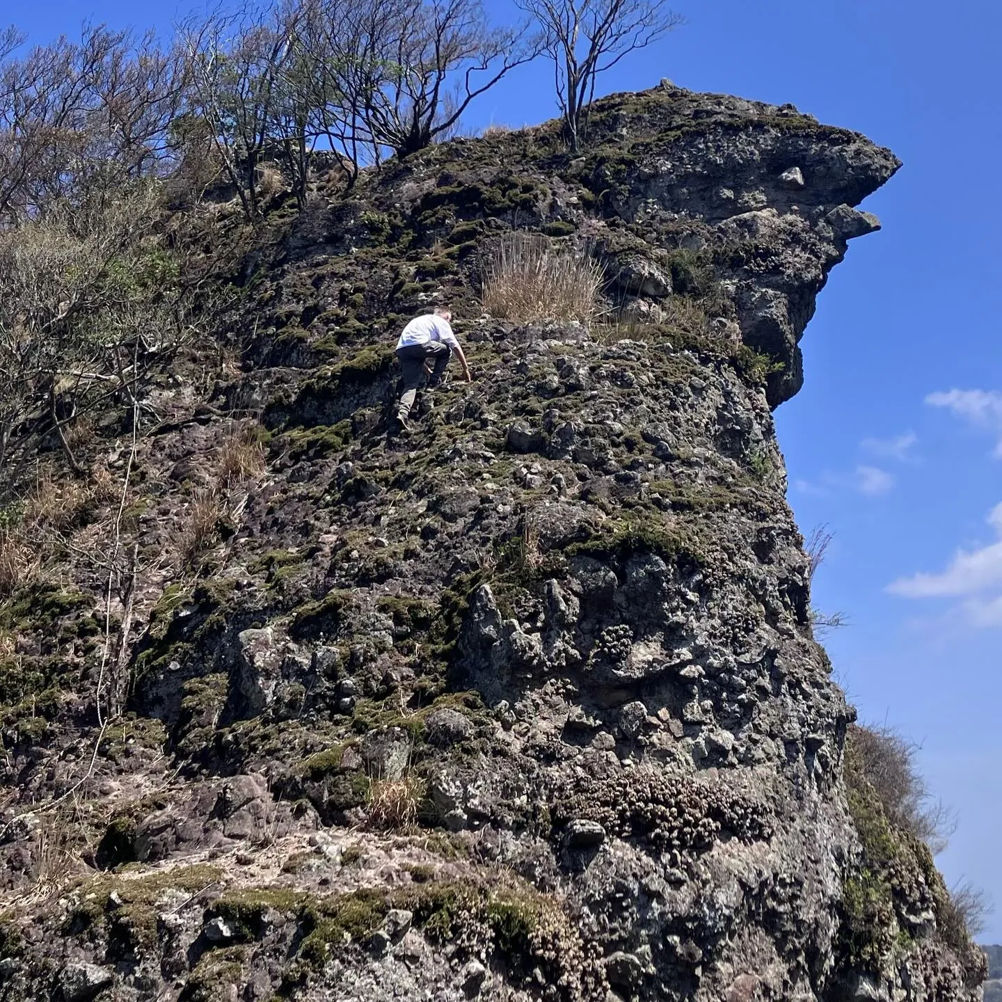 🌿古代からの歴史が息づく国東半島の六郷満山で心をクリアにしつ...